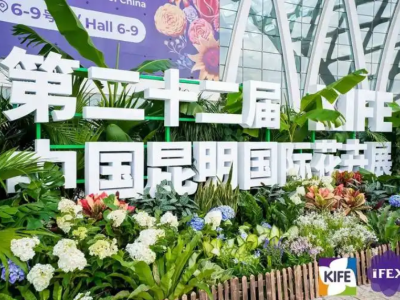 2025年昆明国际花卉园艺展